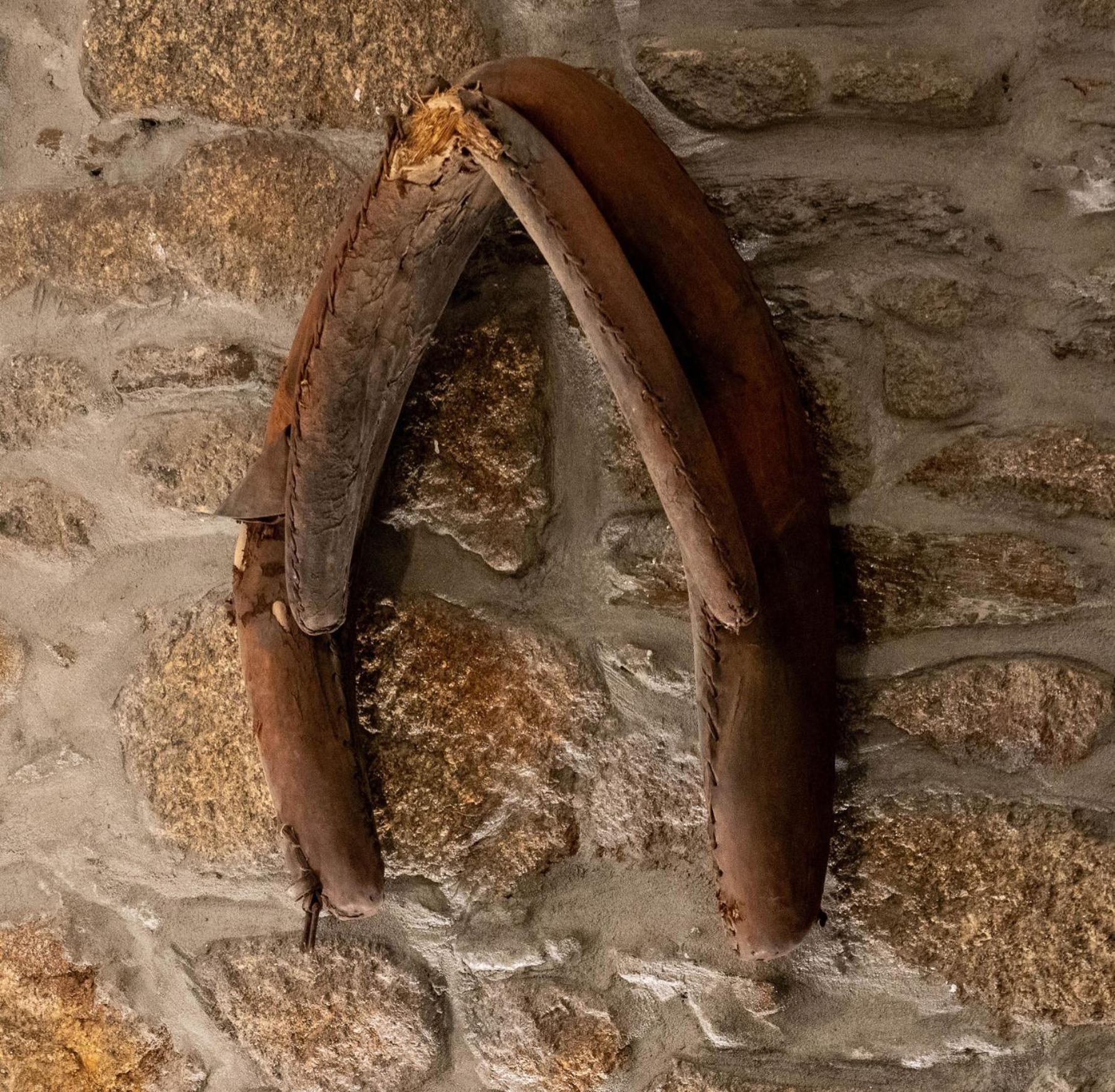 São João da PesqueiraBabhouse Loja Do Cavalo - Coracao Do Douroアパートメント エクステリア 写真
